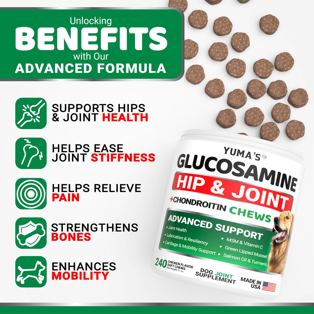 YUMA'S glucosamine for dogs in use boosts mobility during playtime.
