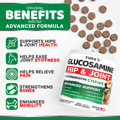 YUMA'S glucosamine for dogs in use boosts mobility during playtime.