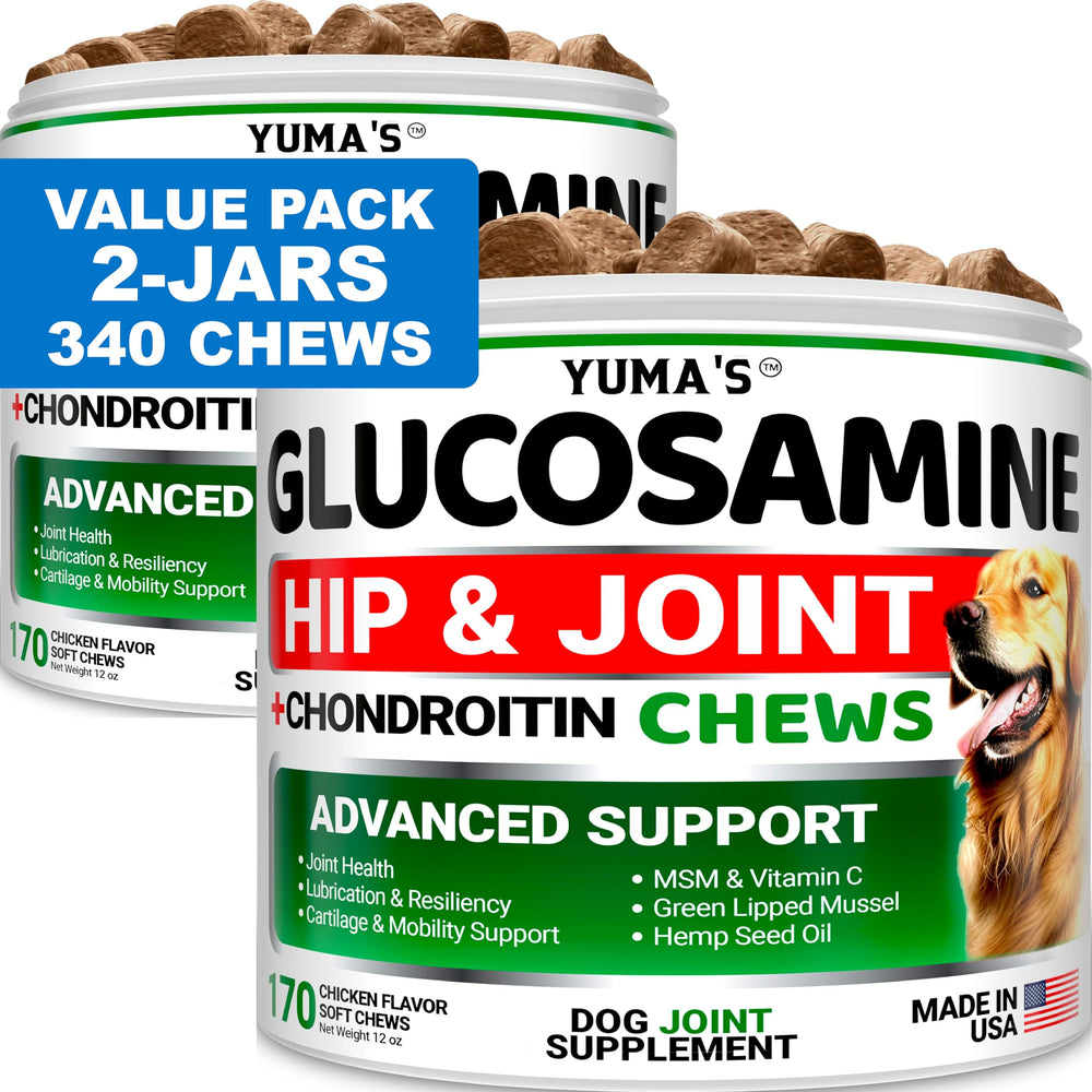 YUMA'S glucosamine dog hip chews support joint comfort for active days.