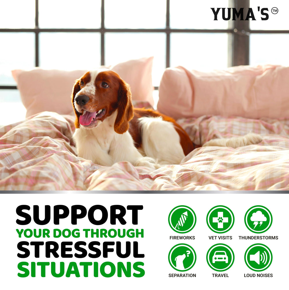 Puppy and senior benefiting from YUMA'S calming chews during storms