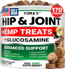 YUMA'S hemp hip and joint dog chews bottle close-up supports mobility.