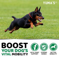 YUMA'S hemp oil dog supplement bottle displays hemp-based wellness for joints.