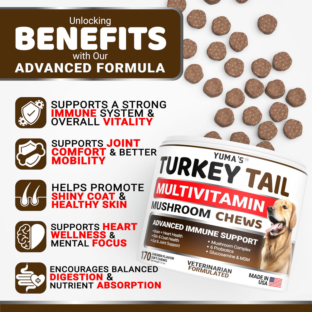 YUMA'S immune-support dog mushroom chews for daily vitality