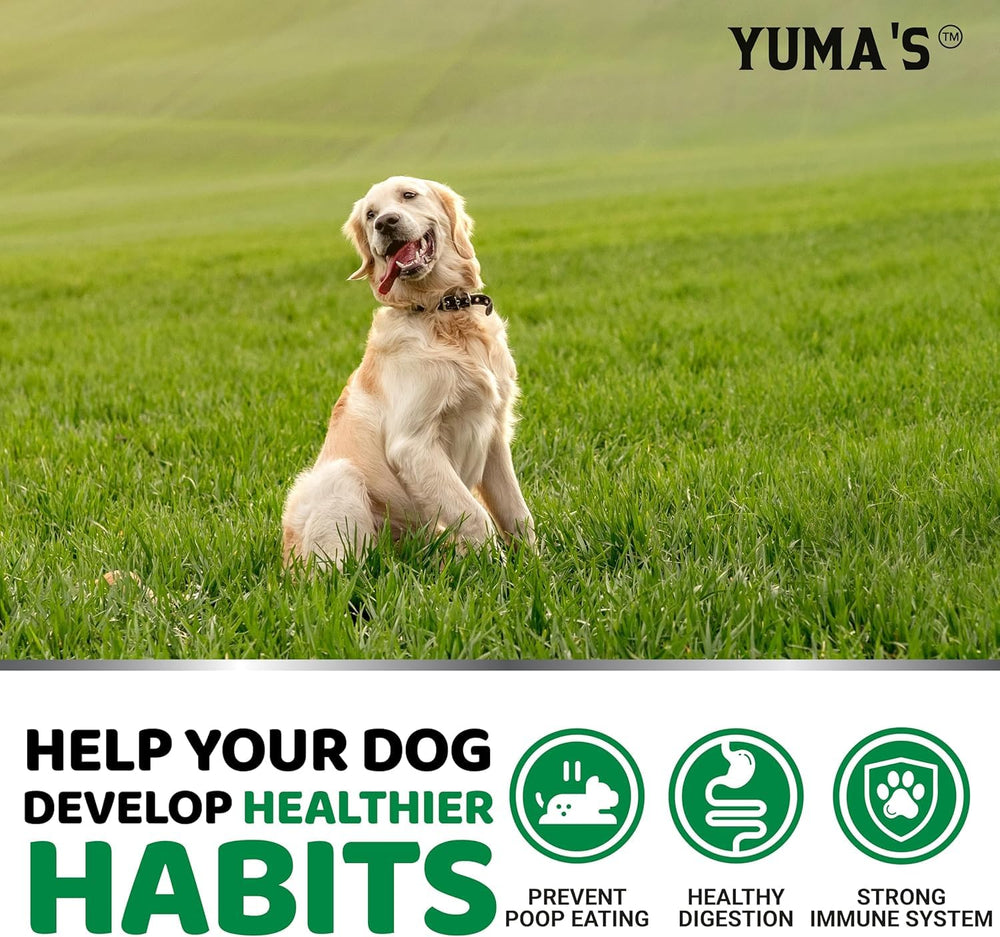 YUMA'S No Poo Chews dog meal time scene suggests easy, consistent dosing.