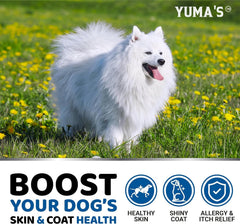 YUMA'S Omega-3 dog chews support skin care for itchy dogs.