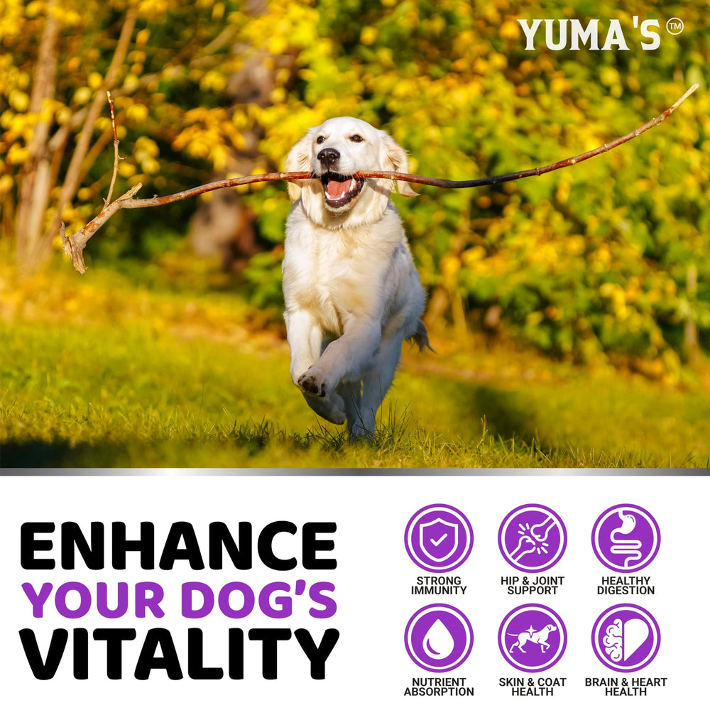 Omega fatty acids in YUMA'S dog vitamin for healthy skin and coat
