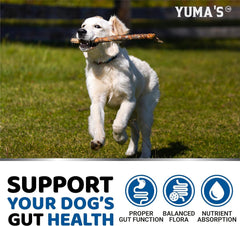 Front view of YUMA'S packaging highlighting key features.