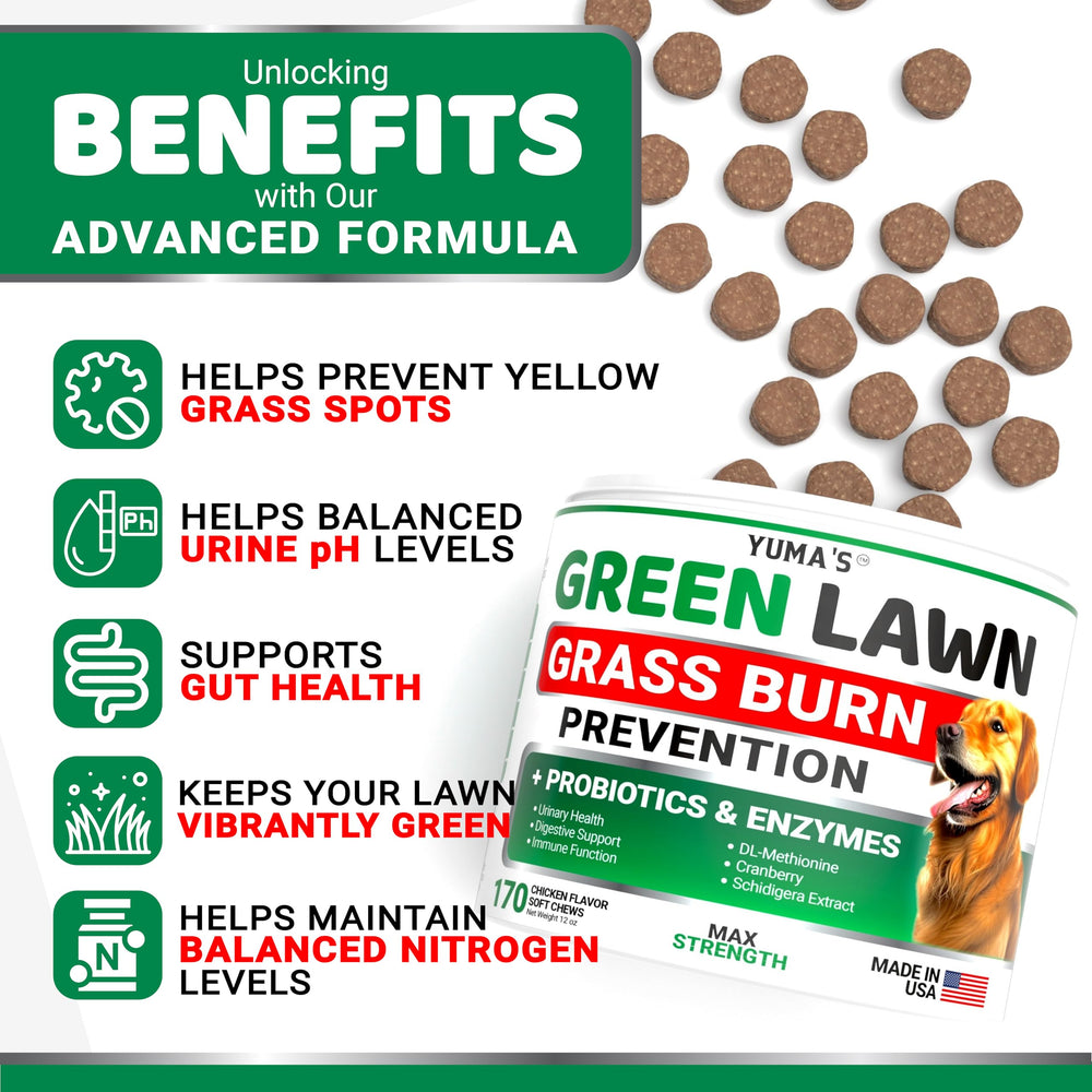 YUMA'S probiotic and enzyme chews close-up