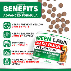 YUMA'S probiotic and enzyme chews close-up