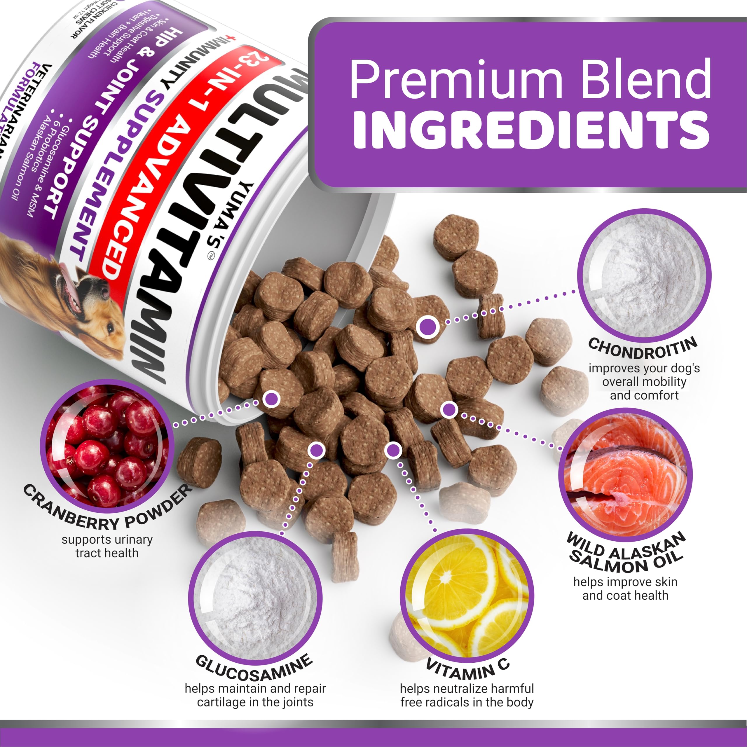 YUMA'S probiotics chew supports gut health and immune wellness.