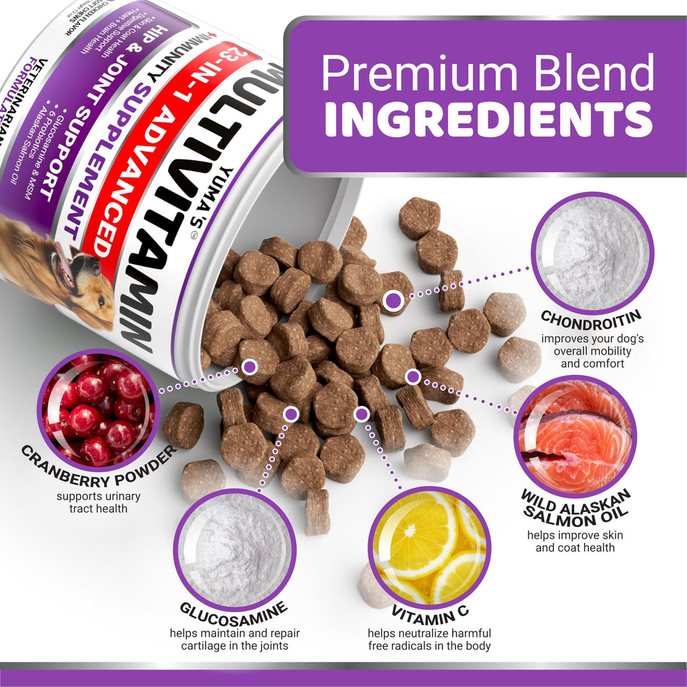 YUMA'S probiotics chew supports gut health and immune wellness.