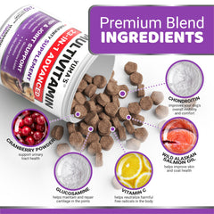 YUMA'S probiotics in dog chews supporting digestive health