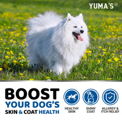 YUMA'S salmon oil for dogs coat shine close-up.