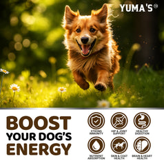 YUMA'S mushroom chews promote shiny coat and smooth digestion