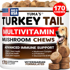 YUMA'S turkey-tail dog chews bottle for daily immune support