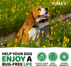 YUMA'S veterinarian-formulated chews produced in the USA.