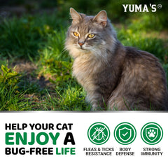 YUMA'S cat flea treatment ingredient label visible in packaging.