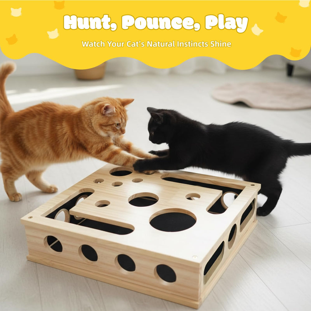 Sandpaper pad inside Yumcute box for natural claw grooming