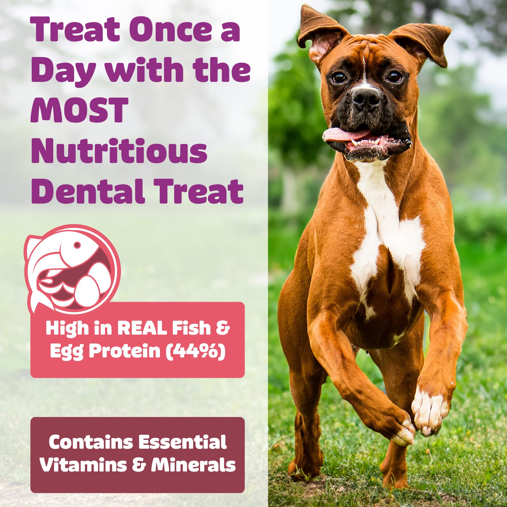 Yummy Combs 360-degree cleaning action helps support daily mouth care for dogs.