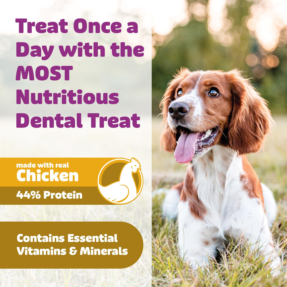 Yummy Combs grain-free, non-GMO ingredients support overall dog nutrition.