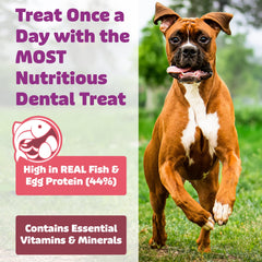 Yummy Combs large dog treats pack highlights size variety.