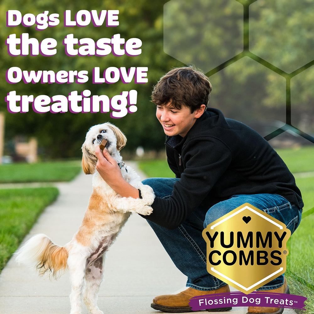 Yummy Combs vet-approved safety features deter gulping and encourage longer chewing