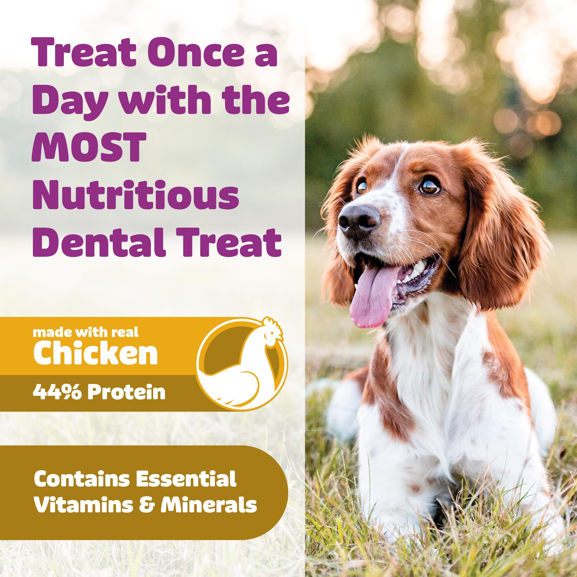 Yummy Combs vet-tested safety design for confident chewing.