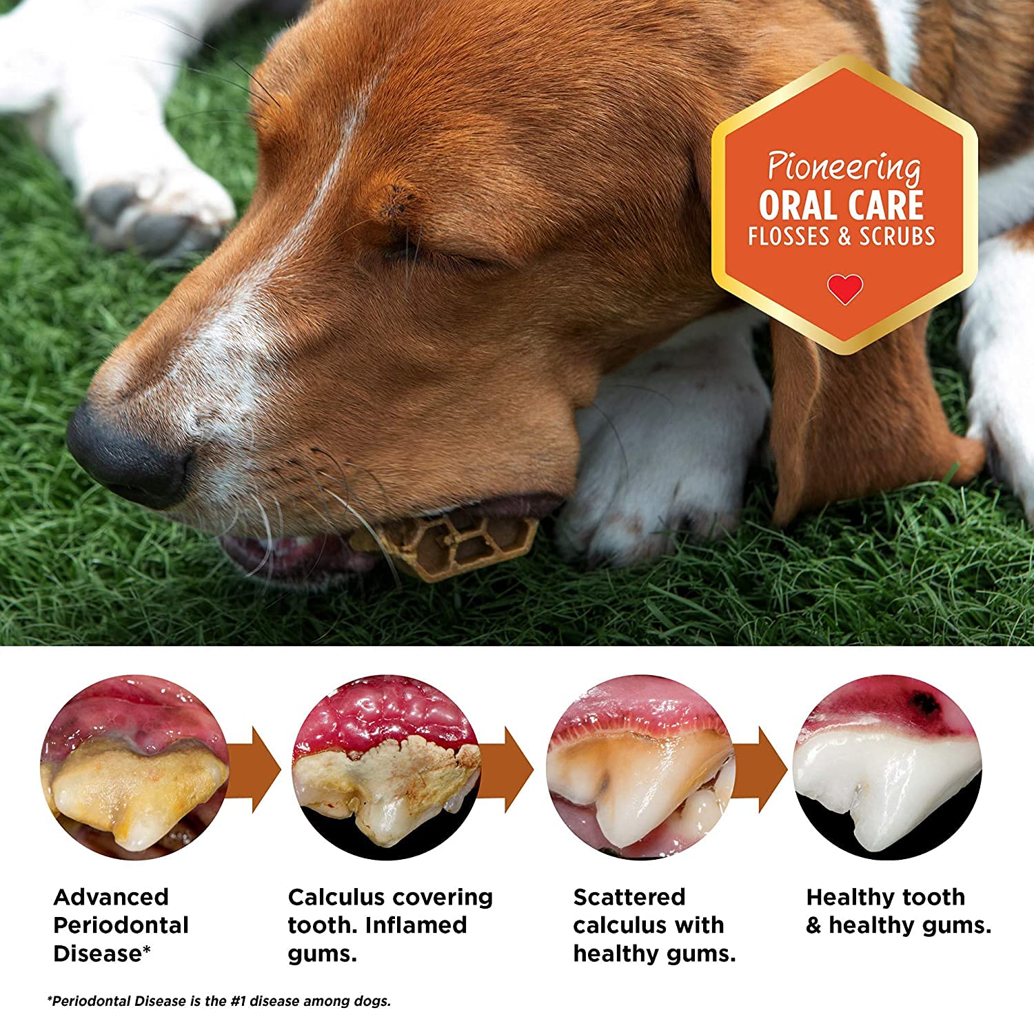 Wide design shown to deter gulping and promote longer chewing sessions.