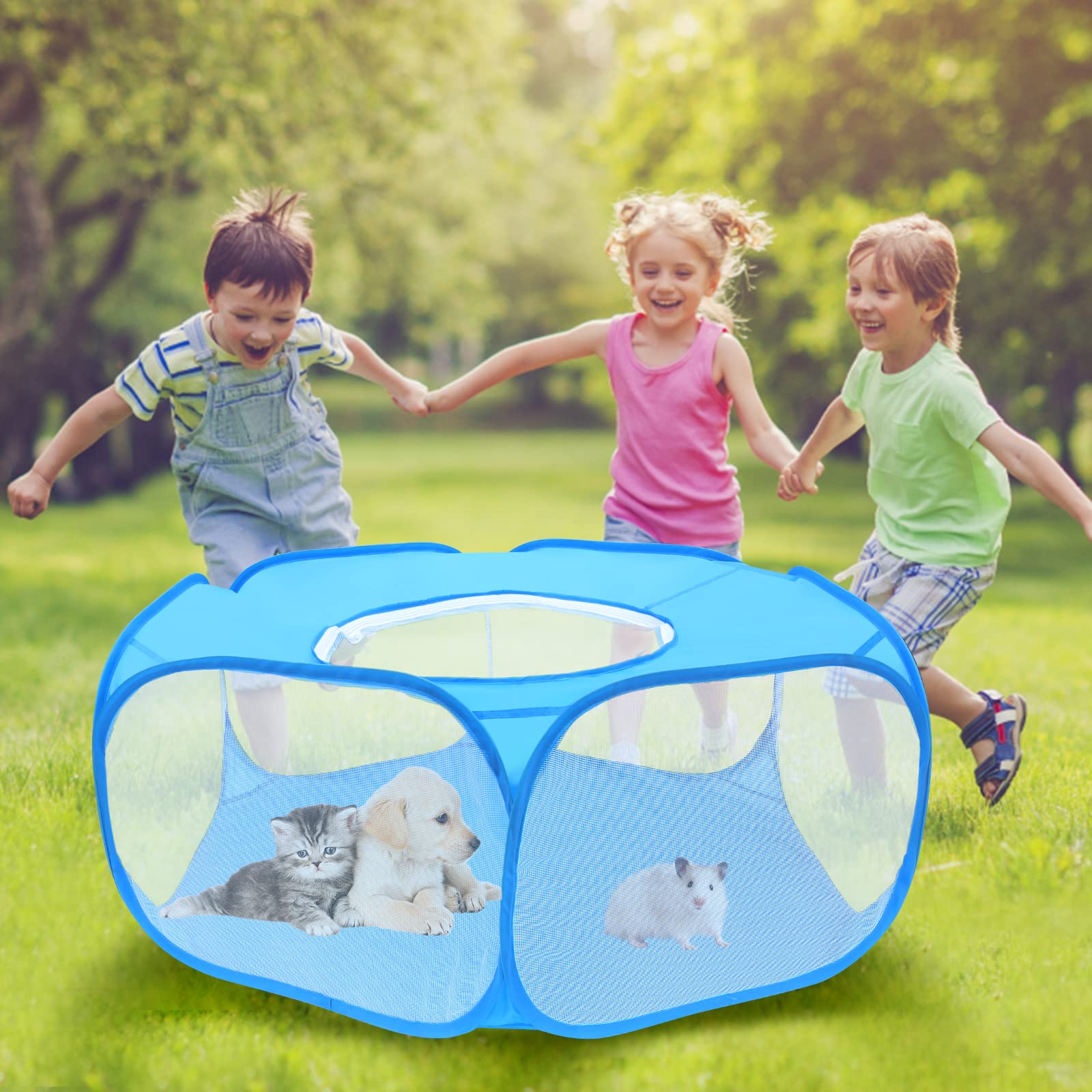 Spacious blue interior of Yummy Sam playpen suitable for small pets like chicks and rabbits.