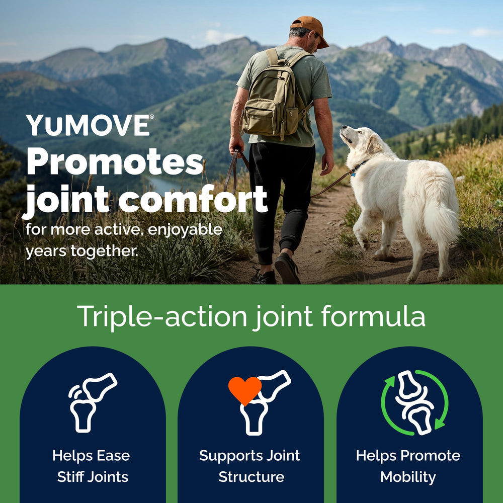 YuMOVE ActivEase Green Lipped Mussel ingredient foreground highlights premium joint support.