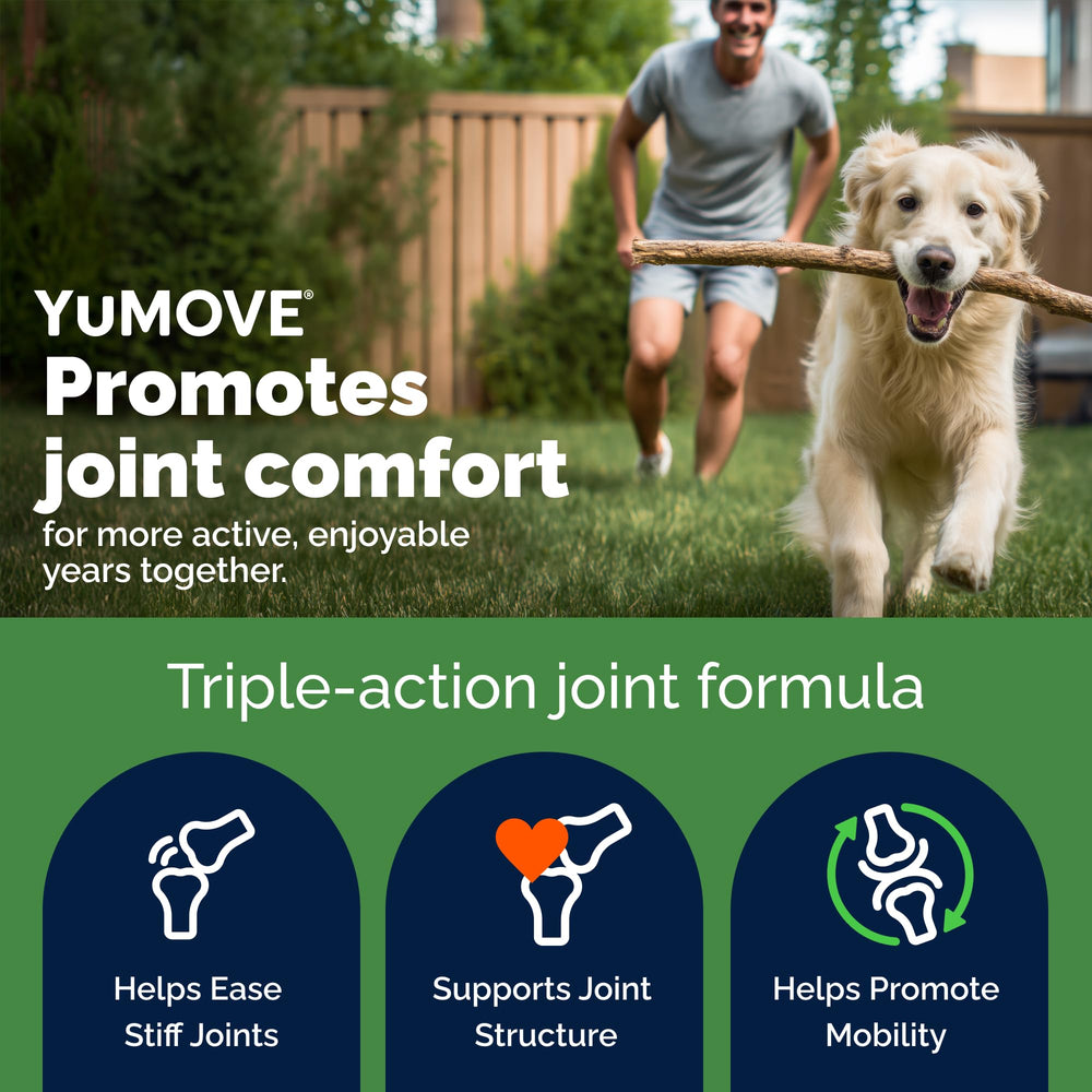 YuMOVE chewable tablets in hand for convenient canine joint support.