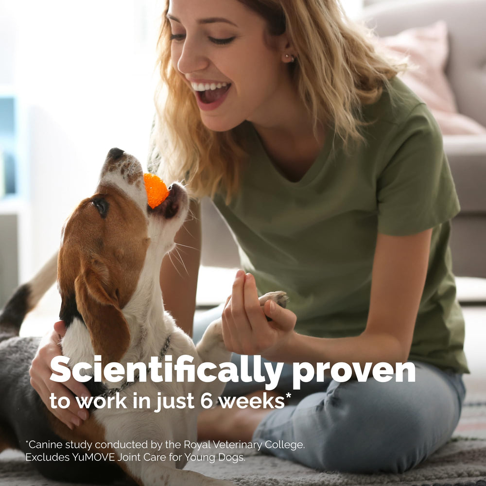 Clinical study reference by Royal Veterinary College.