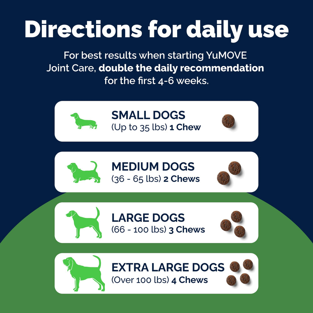 Close-up of a dog happily taking YuMOVE chew for daily use.