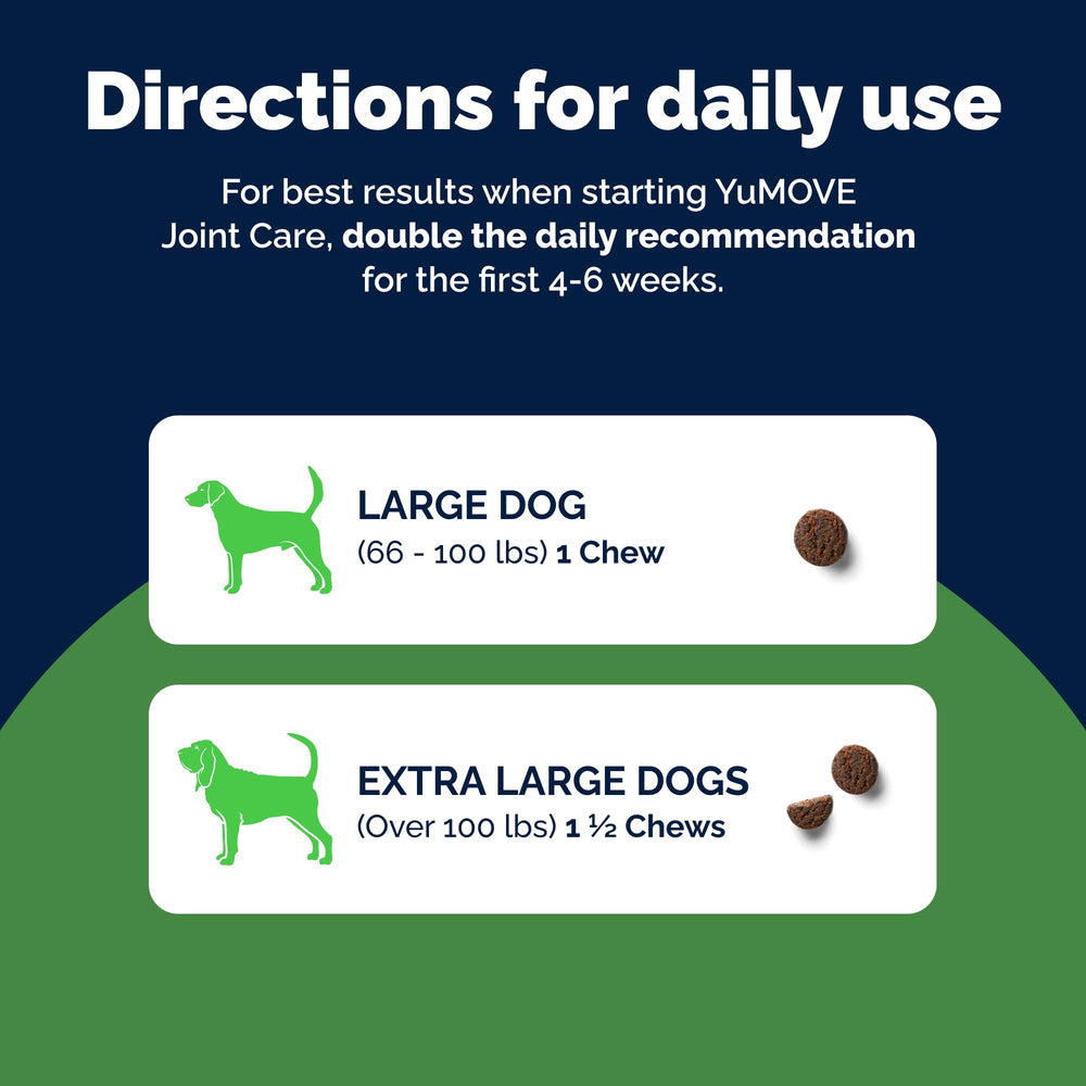 YuMOVE dog enjoying easier walks after starting supplement.