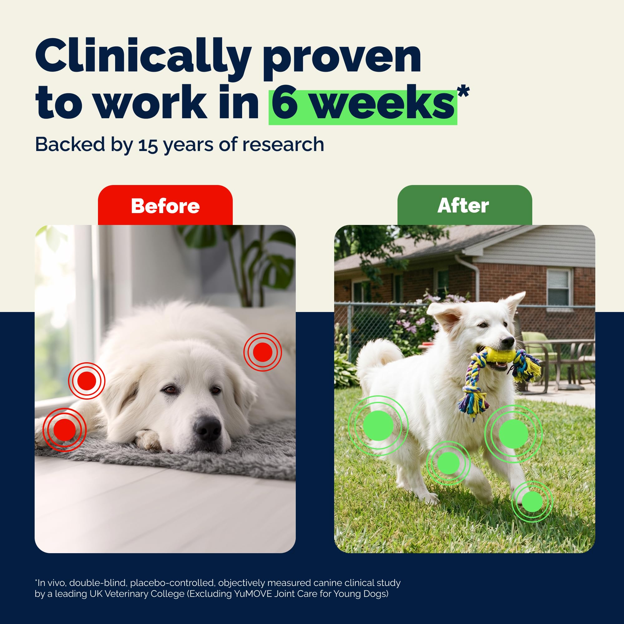 YuMOVE Glucosamine for Dogs supports cartilage health in big breeds.