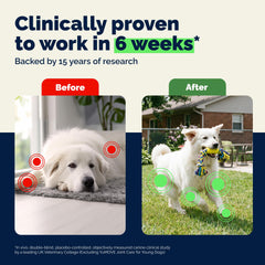 YuMOVE Glucosamine for Dogs supports cartilage health in big breeds.