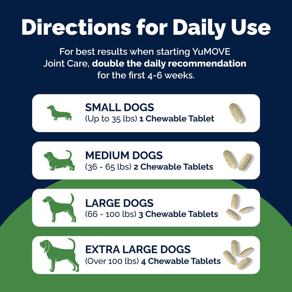 YuMOVE dog on stairs depiction suggesting improved mobility