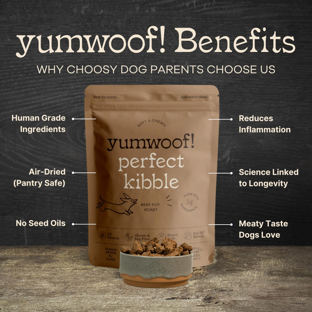 Yumwoof air-dried kibble texture preserves nutrients for convenience.
