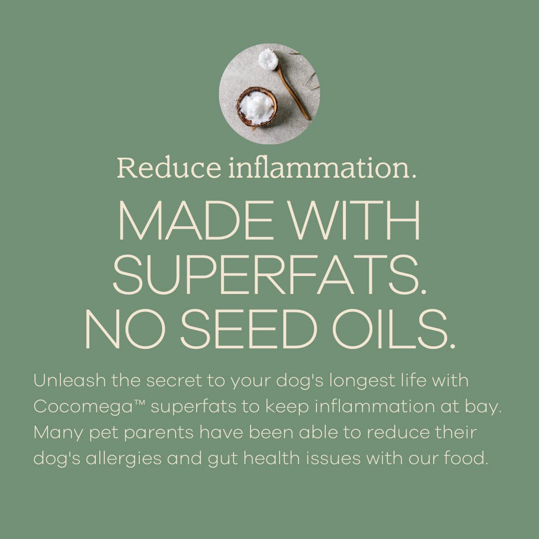 Yumwoof antioxidants-rich recipe; supports overall wellness.
