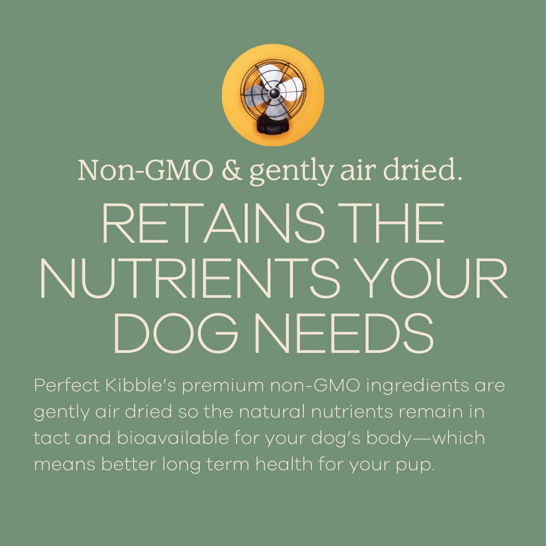 Yumwoof formula shows glossy coating from coconut oil and MCTs for energy support.
