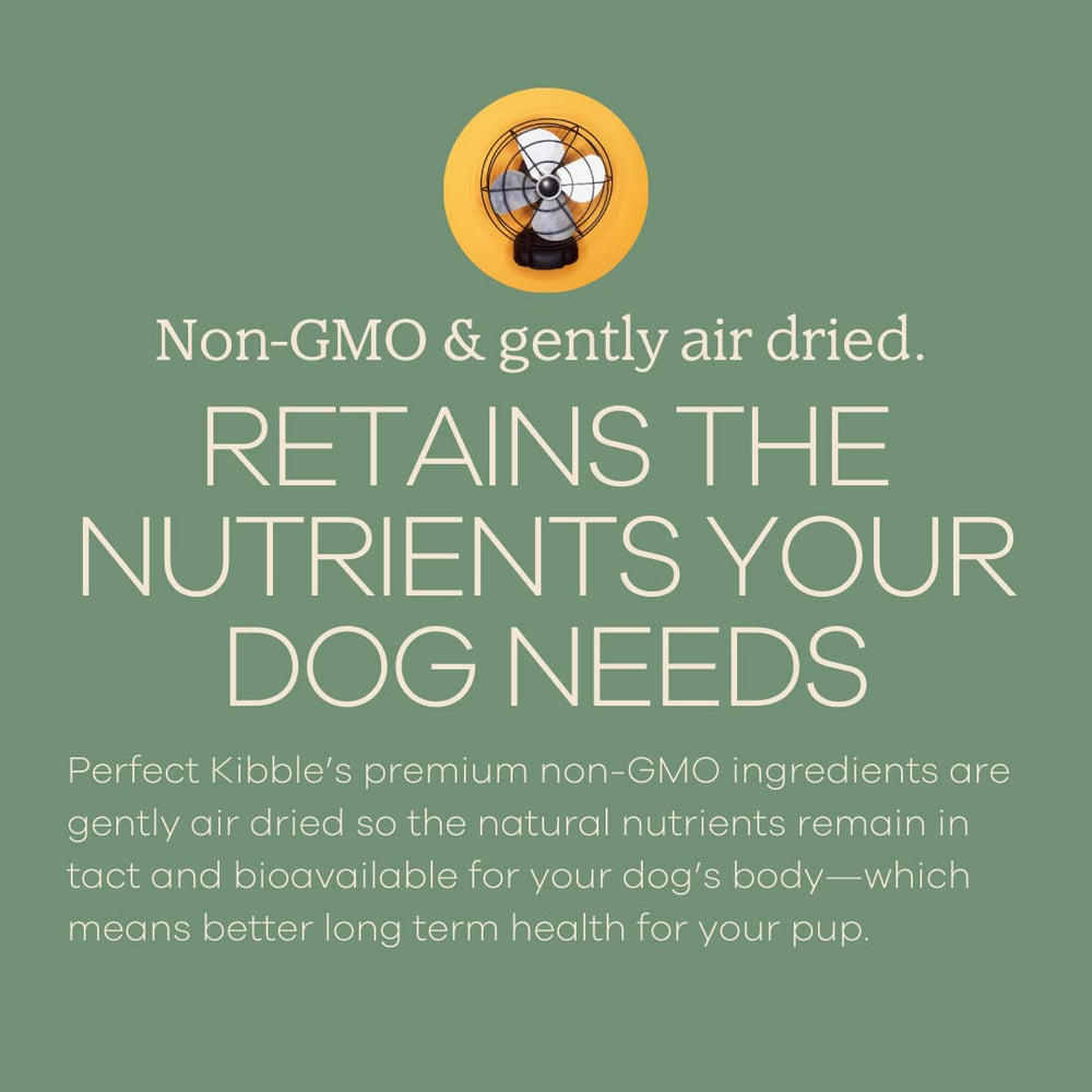 Yumwoof formula shows glossy coating from coconut oil and MCTs for energy support.