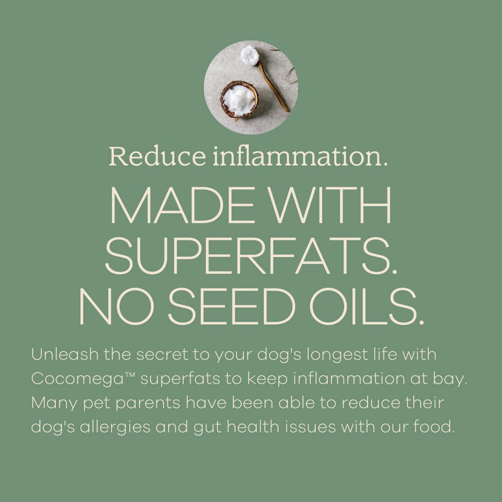Yumwoof Organic coconut oil bottle highlighting omega fats for healthy skin.