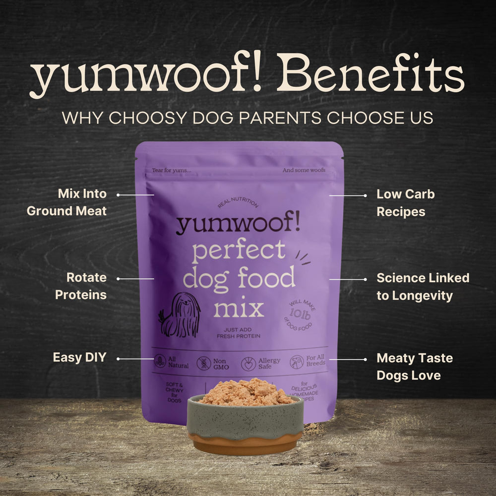 Baking Yumwoof mix with protein to create fresh low-carb dog meals