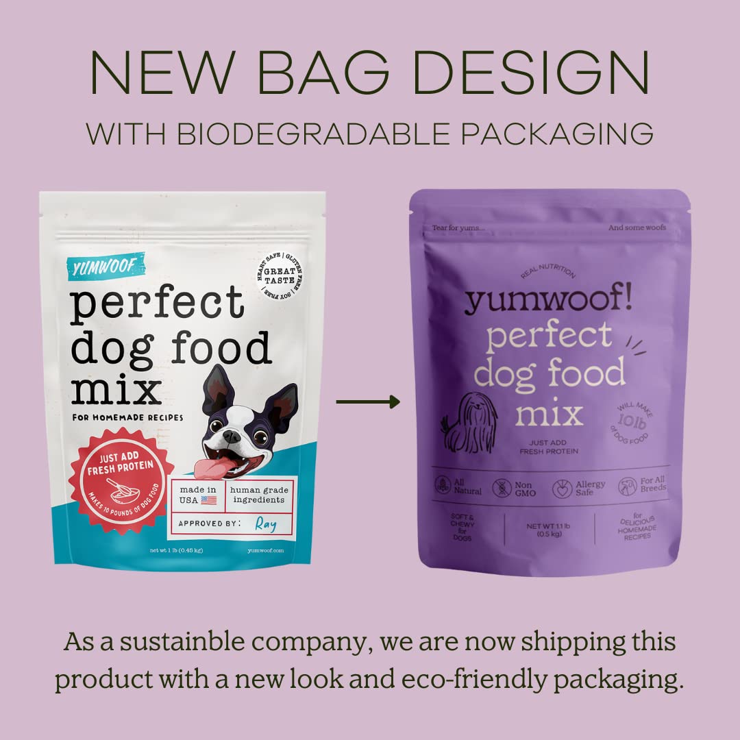 Dog enjoying a low-carb, grain-free Yumwoof meal