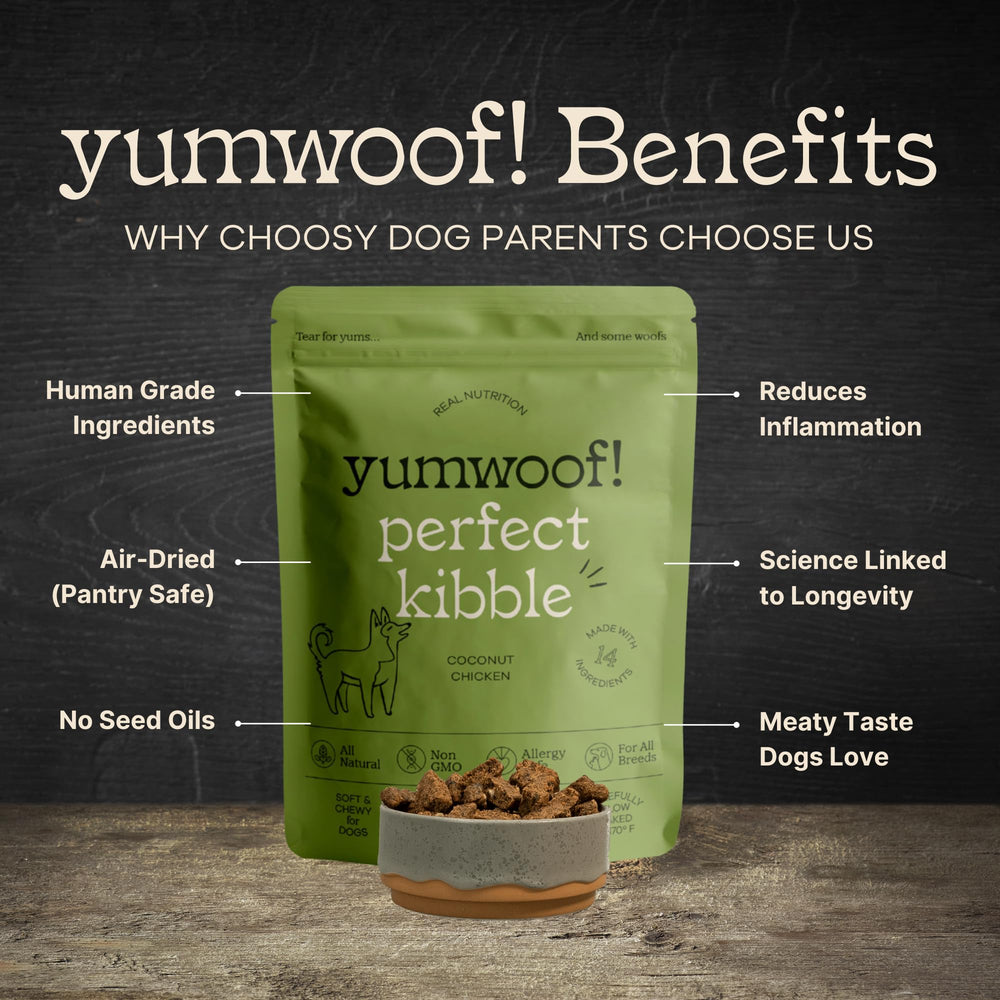 Yumwoof Perfect Kibble air-dried chicken kibble close-up with nutrient-rich texture for easy feeding.