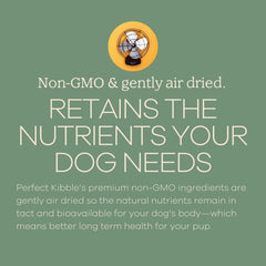 Yumwoof Perfect Kibble serving bowl image demonstrating convenient portioning for mealtimes.