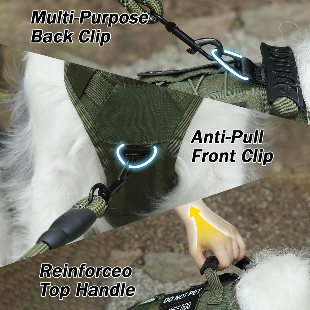 Yungaspy No Pull harness D-ring front clip for enhanced control.