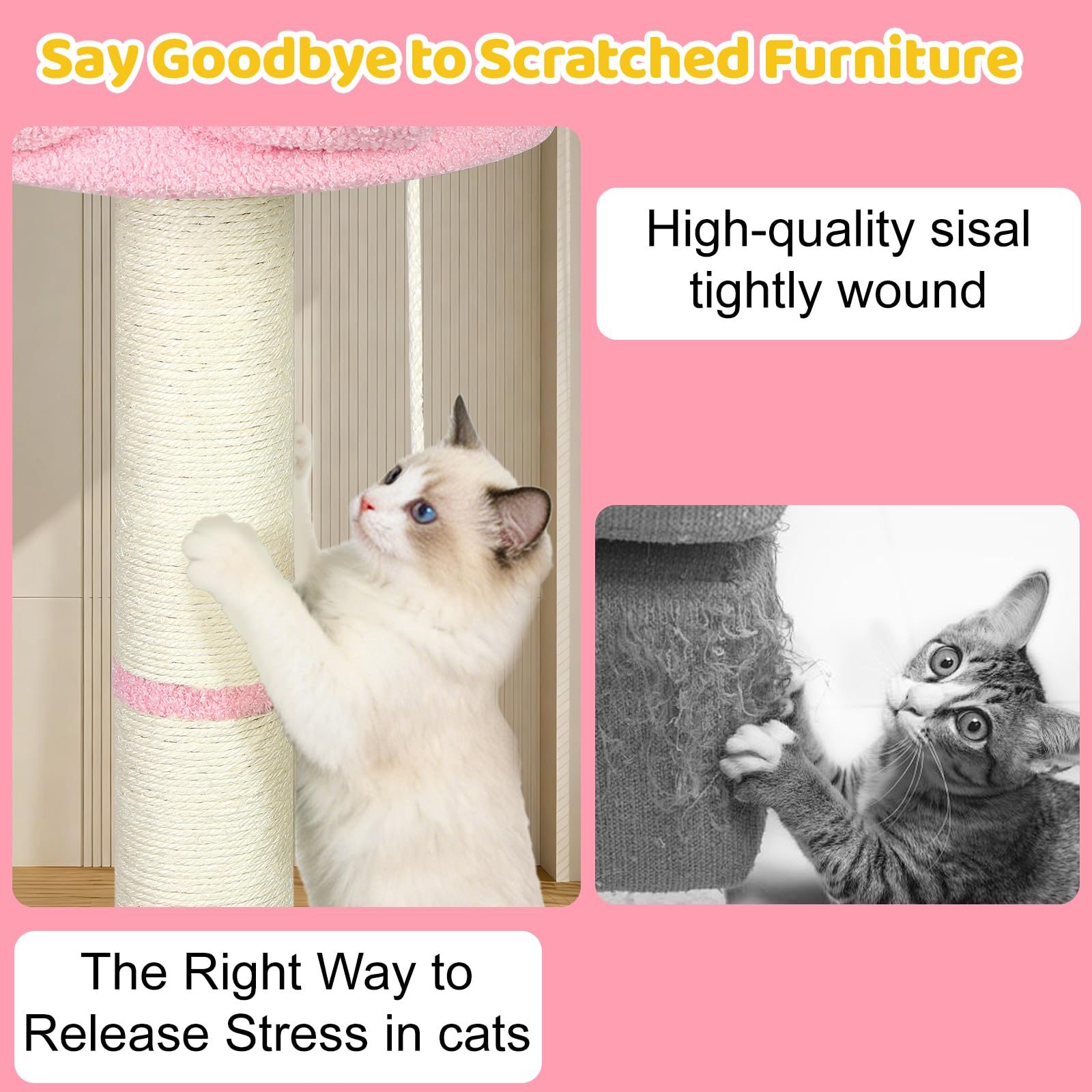 Yungaspy tree hole mouse toy encourages hunting behavior