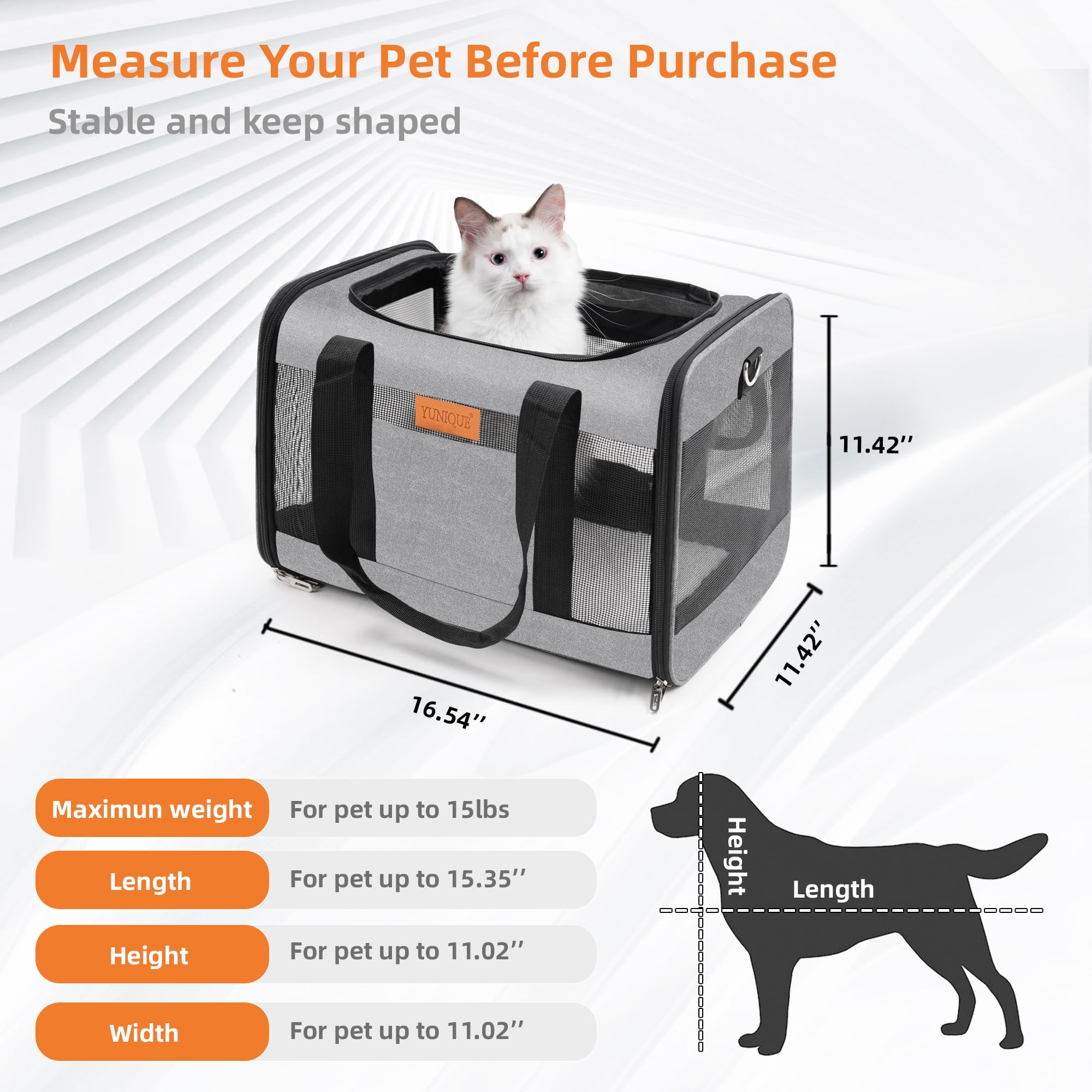 YUNIQUE carrier supports daily walks, travel, or vet visits