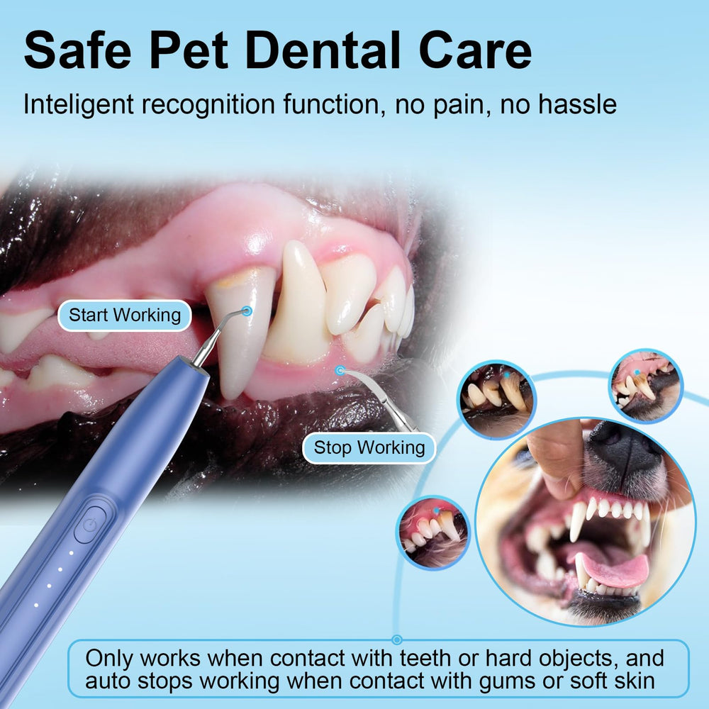 YunLuna dog teeth cleaning, 3 modes with LED, guides gentle to thorough cleaning.